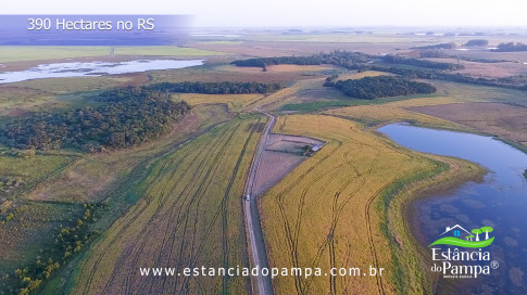 Renato Borghetti   Kilómetro Once (Transito Cocomarola)   Instrumental Sesc Brasil [VDownloader].00_02_59_00.Quadro044_70611bd1bf9833bbc397594675cb4b8c8576750f.jpg